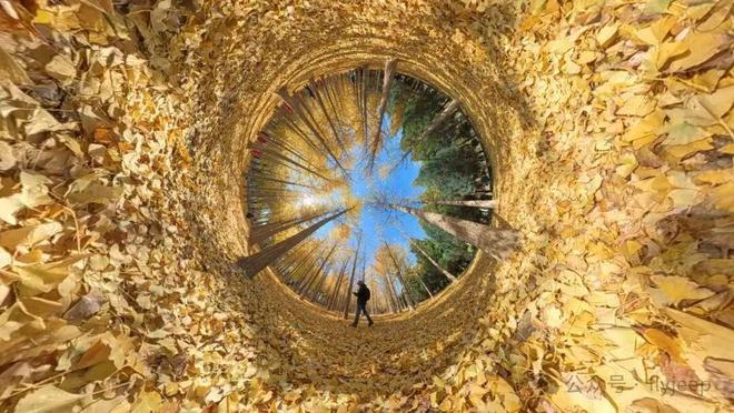 OD售楼处发布：国誉颂引领购房热潮！j9国际站登录年度聚焦 @国誉颂T(图4)